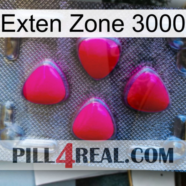 Exten Zone 3000 13.jpg